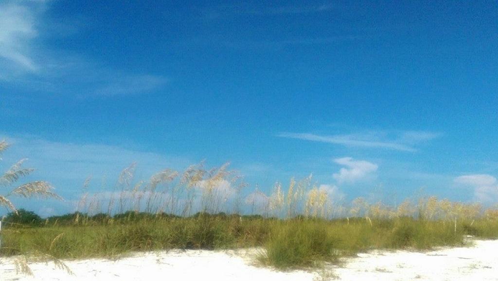 Pag Beachhouse Rentals St. Pete Beach Bagian luar foto
