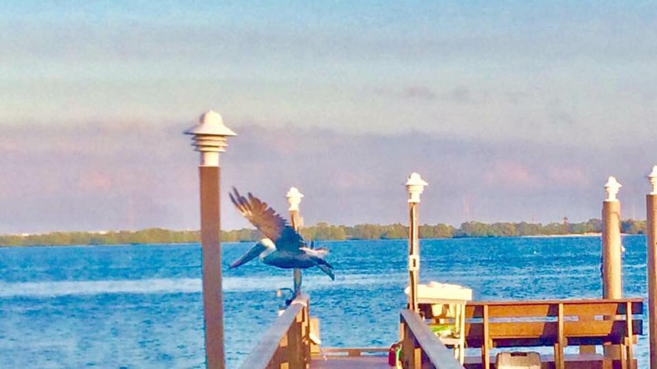 Pag Beachhouse Rentals St. Pete Beach Bagian luar foto