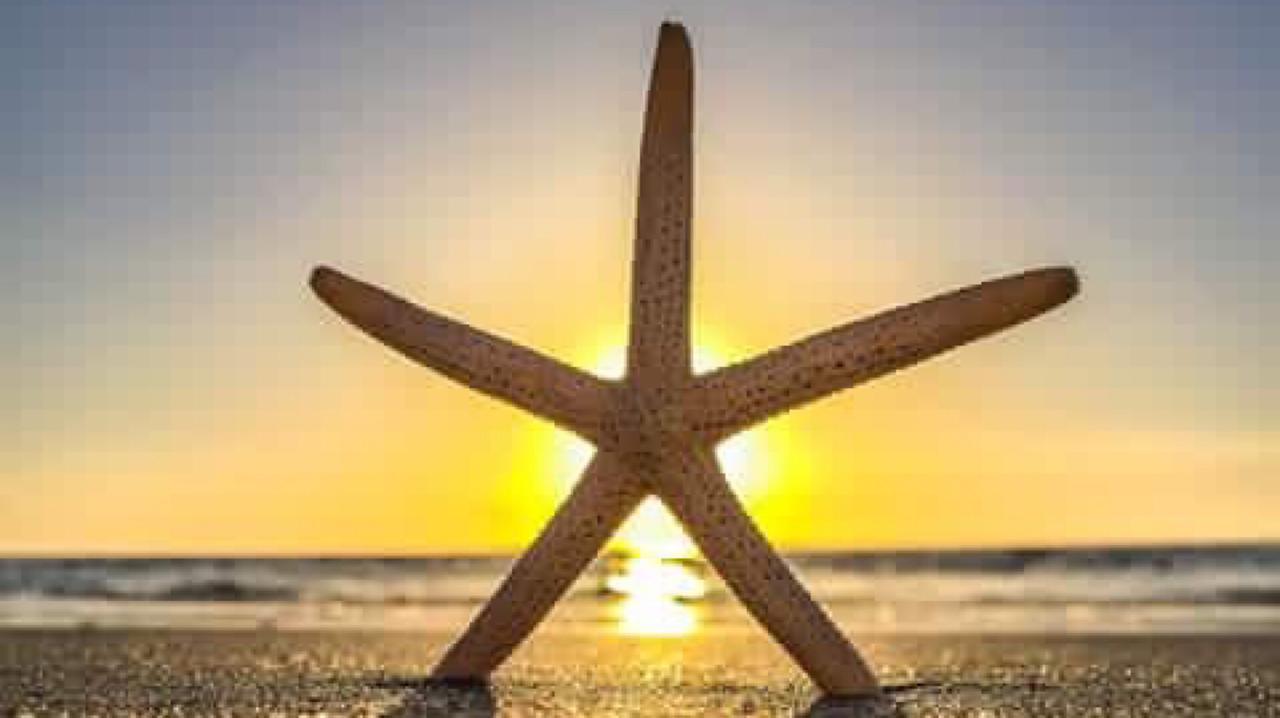 Pag Beachhouse Rentals St. Pete Beach Bagian luar foto